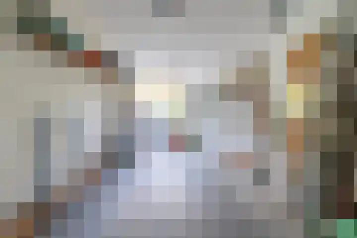 Reade Poarte 31 Goutum thumbnail 28