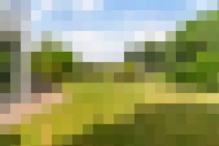 Reade Poarte 31 Goutum thumbnail 32