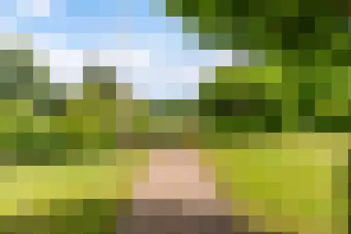 Reade Poarte 31 Goutum thumbnail 33