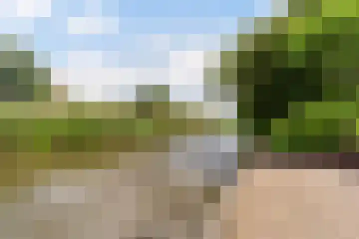 Reade Poarte 31 Goutum thumbnail 34