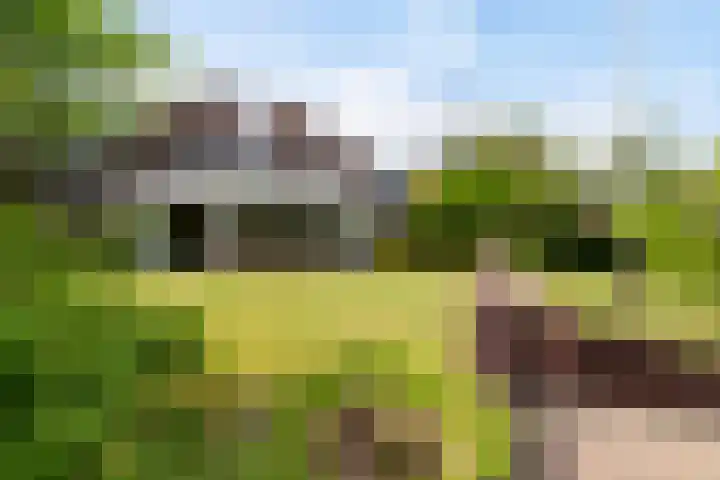 Reade Poarte 31 Goutum thumbnail 35