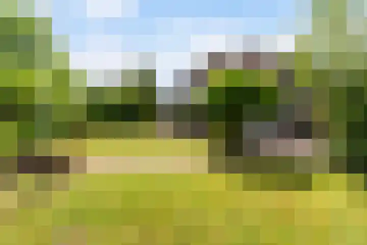 Reade Poarte 31 Goutum thumbnail 36