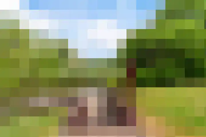 Reade Poarte 31 Goutum thumbnail 37