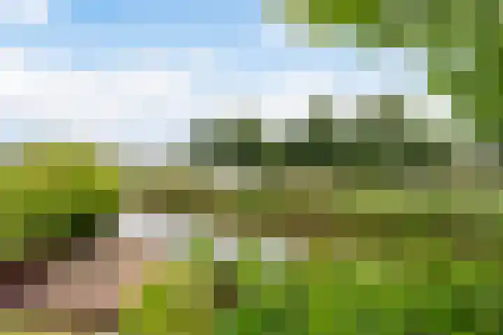 Reade Poarte 31 Goutum thumbnail 38