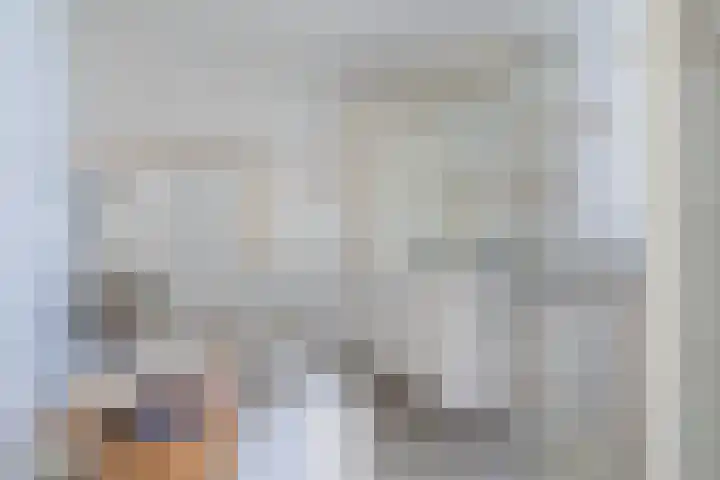 Reade Poarte 31 Goutum thumbnail 45