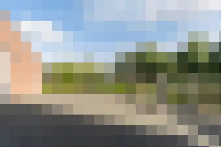 Reade Poarte 31 Goutum thumbnail 49