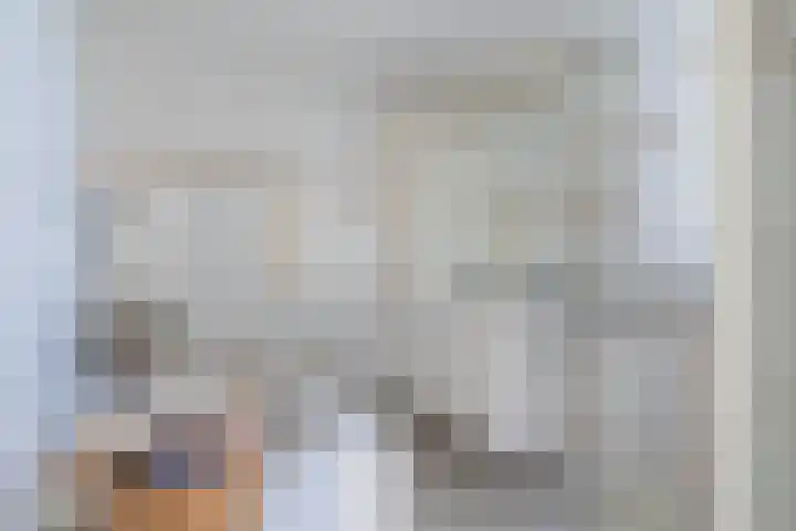 Reade Poarte 31 Goutum thumbnail 5