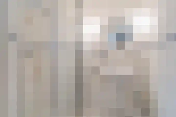 Reade Poarte 31 Goutum thumbnail 51