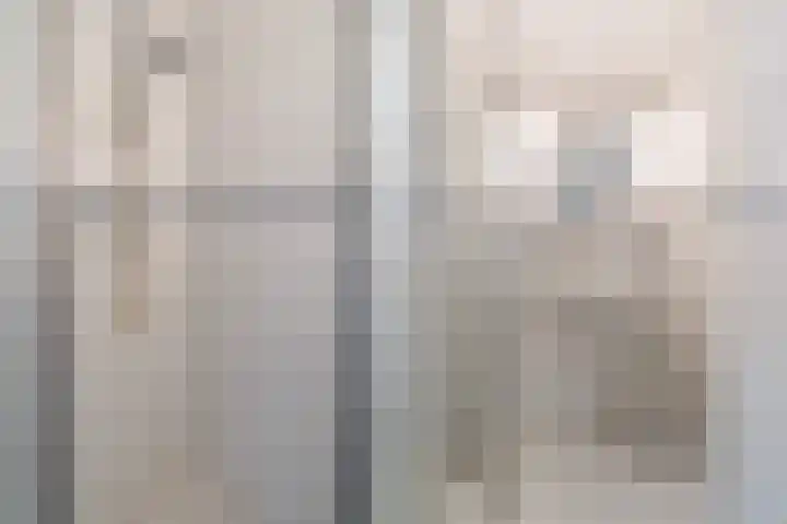 Reade Poarte 31 Goutum thumbnail 52