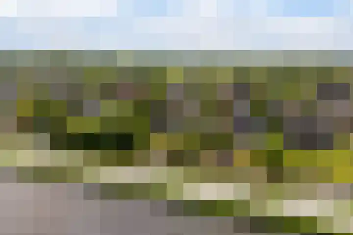 Reade Poarte 31 Goutum thumbnail 53
