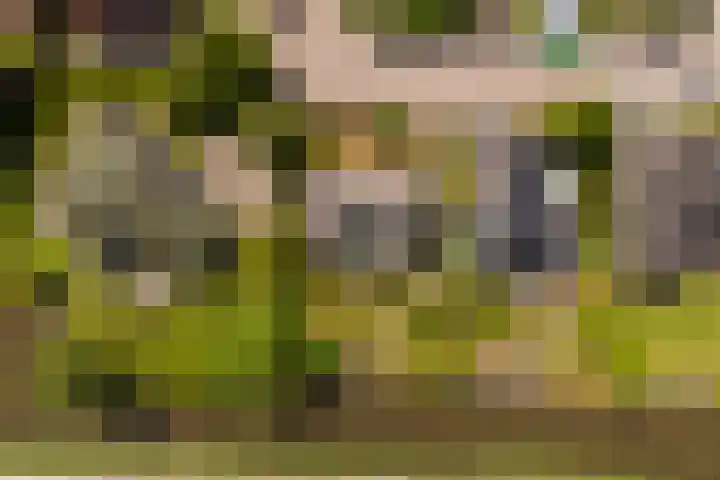 Reade Poarte 31 Goutum thumbnail 55