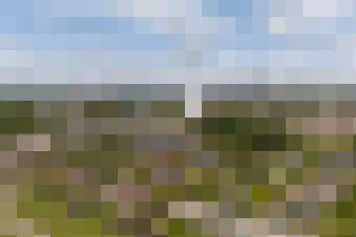Reade Poarte 31 Goutum thumbnail 56