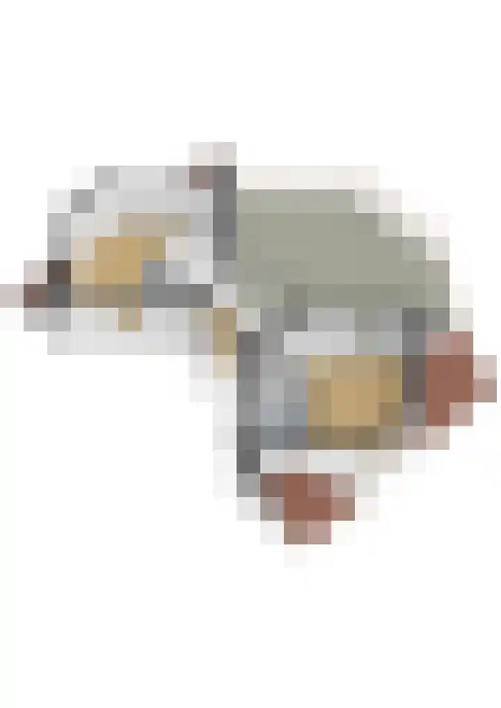 Reade Poarte 31 Goutum thumbnail 61