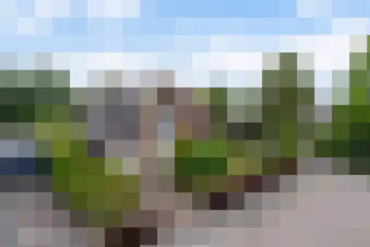 Reade Poarte 31 Goutum thumbnail 7