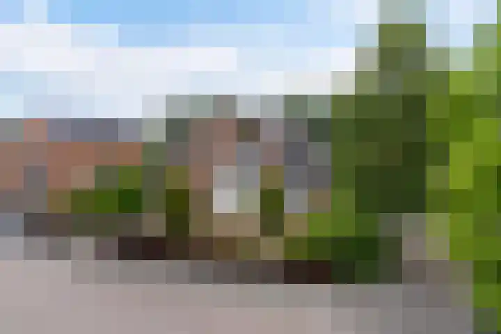 Reade Poarte 31 Goutum thumbnail 8