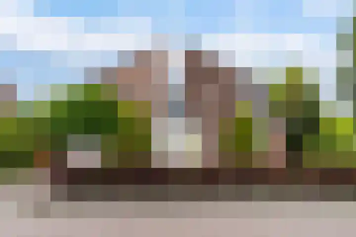 Reade Poarte 31 Goutum thumbnail 9