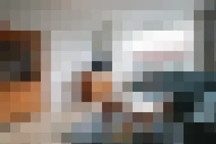 Reafinne 1 Oudega thumbnail 12