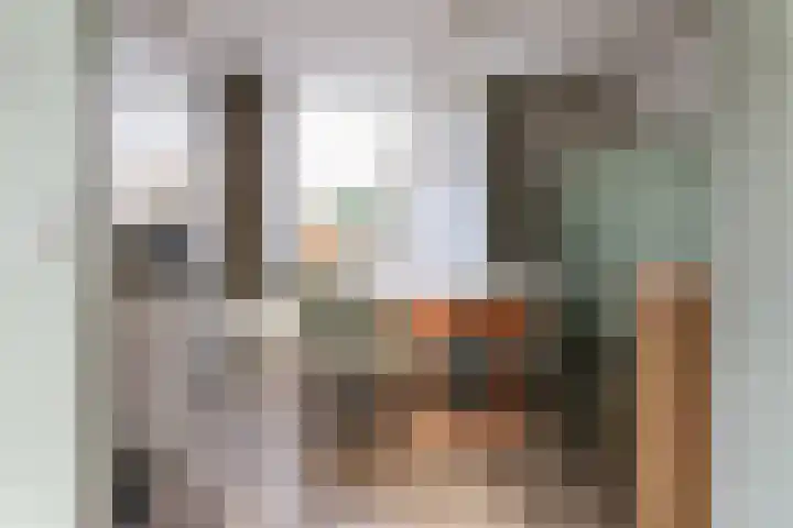 Reafinne 1 Oudega thumbnail 16