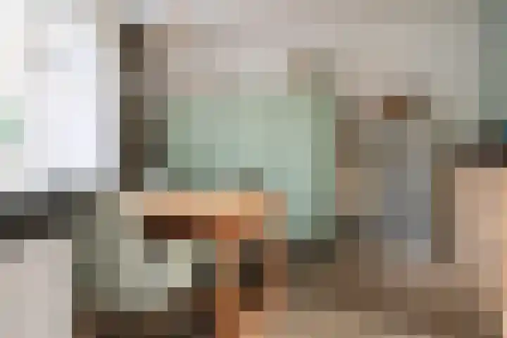 Reafinne 1 Oudega thumbnail 17