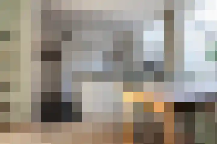 Reafinne 1 Oudega thumbnail 18