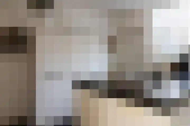 Reafinne 1 Oudega thumbnail 19