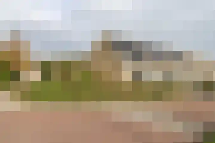 Reafinne 1 Oudega foto 2