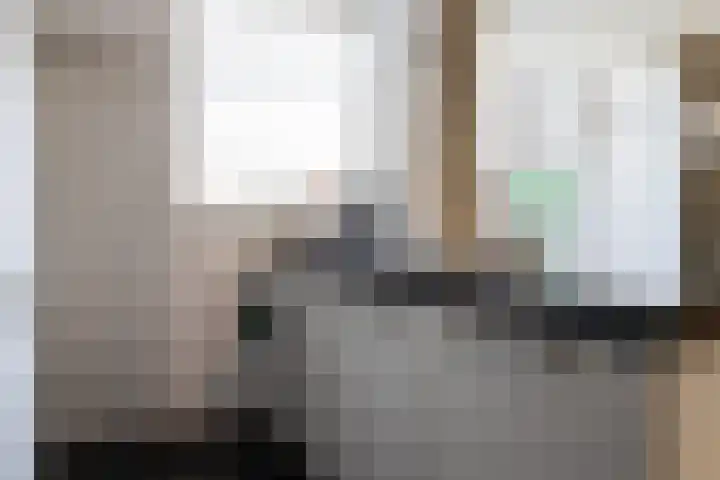 Reafinne 1 Oudega thumbnail 21
