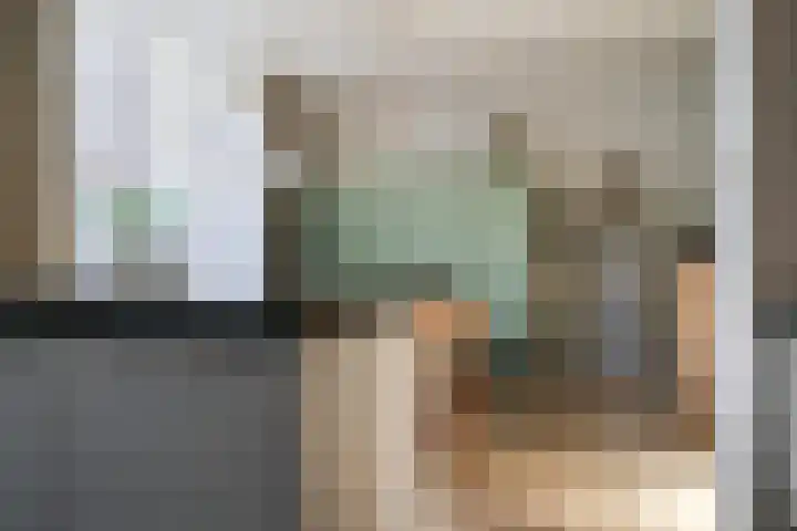 Reafinne 1 Oudega thumbnail 22