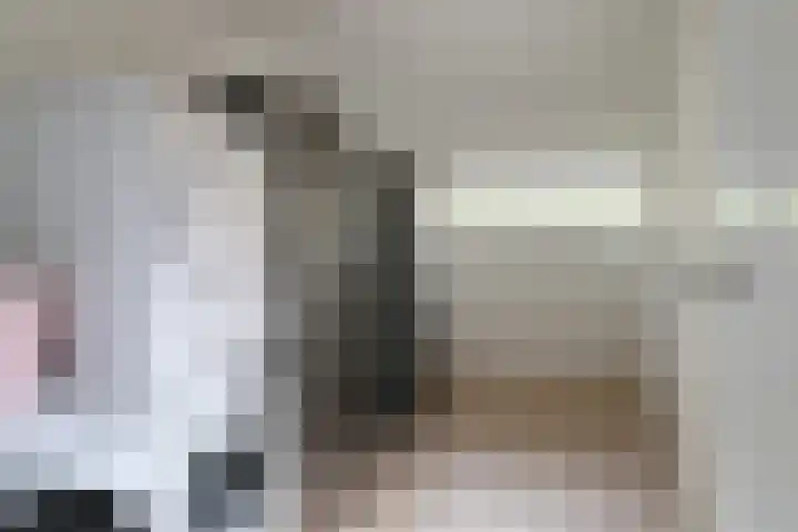 Reafinne 1 Oudega thumbnail 25