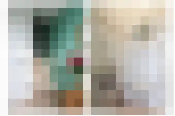 Reafinne 1 Oudega thumbnail 26