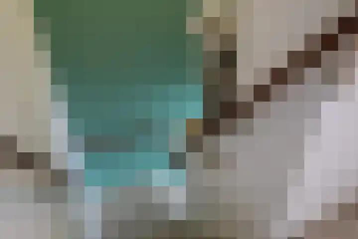 Reafinne 1 Oudega thumbnail 27