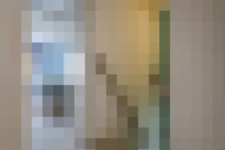 Reafinne 1 Oudega thumbnail 28
