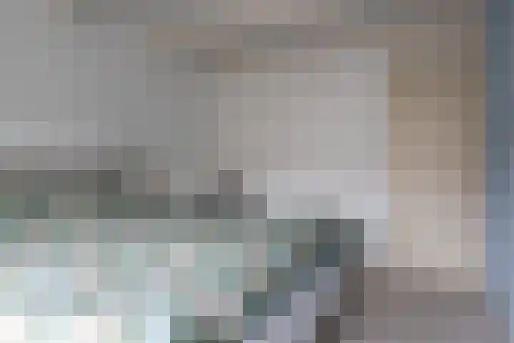 Reafinne 1 Oudega thumbnail 30