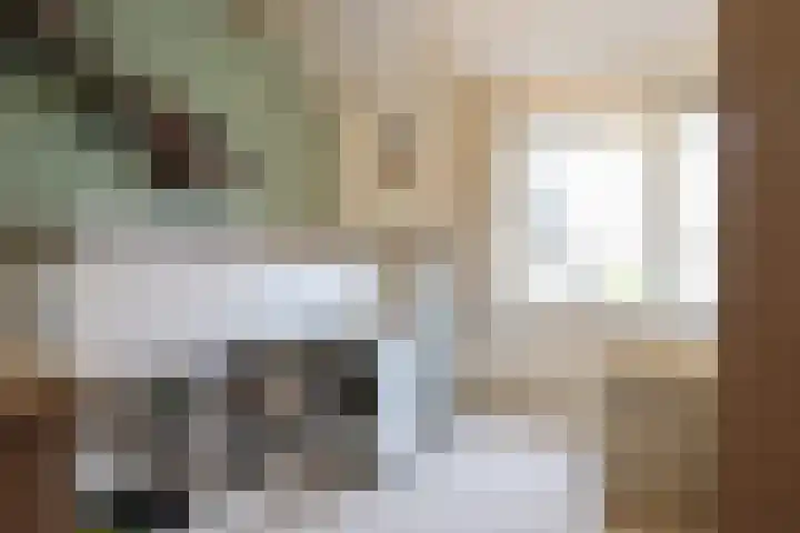 Reafinne 1 Oudega thumbnail 32