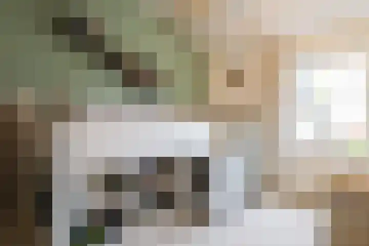 Reafinne 1 Oudega thumbnail 33