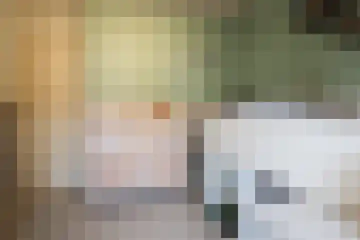 Reafinne 1 Oudega thumbnail 34