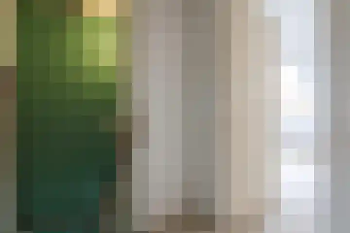 Reafinne 1 Oudega thumbnail 37