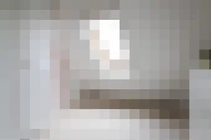 Reafinne 1 Oudega thumbnail 39