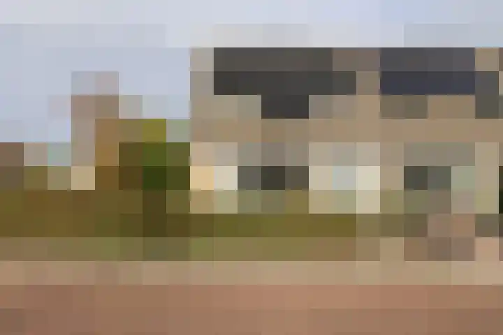 Reafinne 1 Oudega thumbnail 4