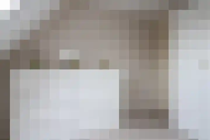 Reafinne 1 Oudega thumbnail 41