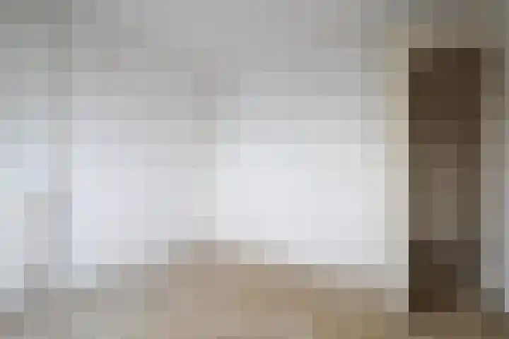 Reafinne 1 Oudega thumbnail 43