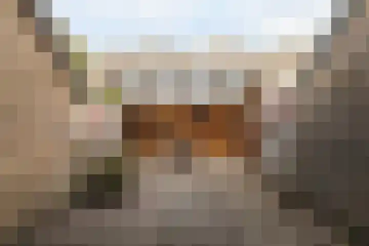 Reafinne 1 Oudega thumbnail 44