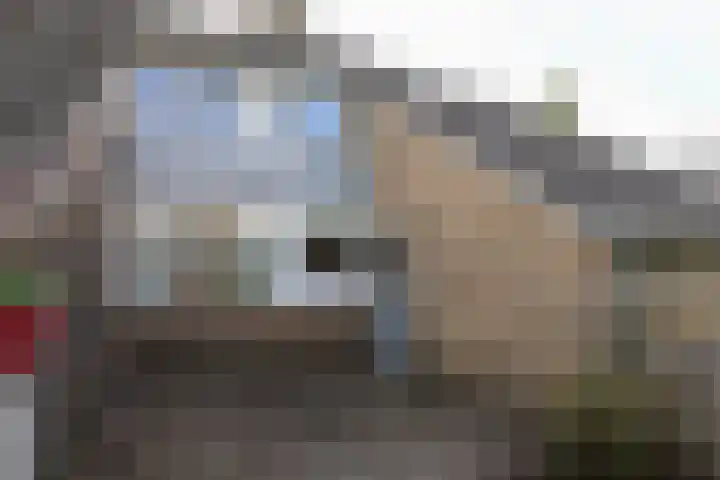 Reafinne 1 Oudega thumbnail 45