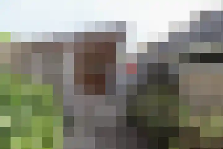 Reafinne 1 Oudega thumbnail 46