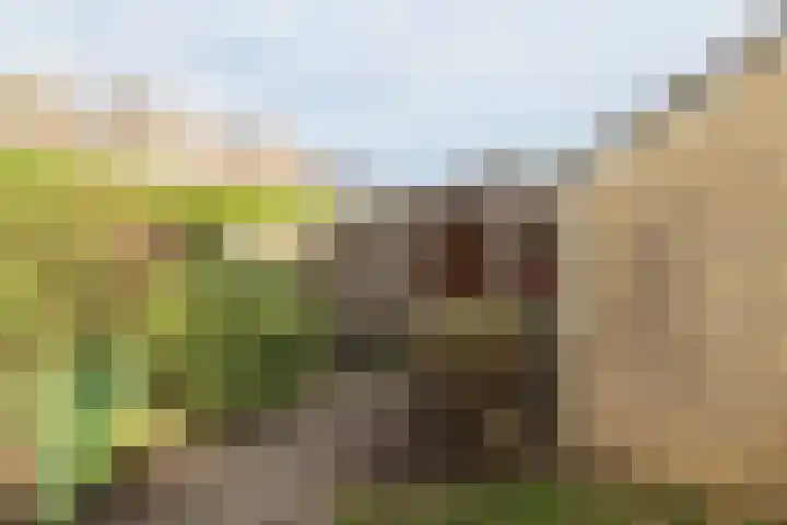 Reafinne 1 Oudega thumbnail 47