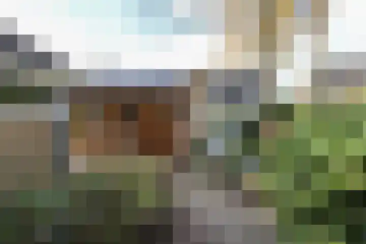 Reafinne 1 Oudega thumbnail 48