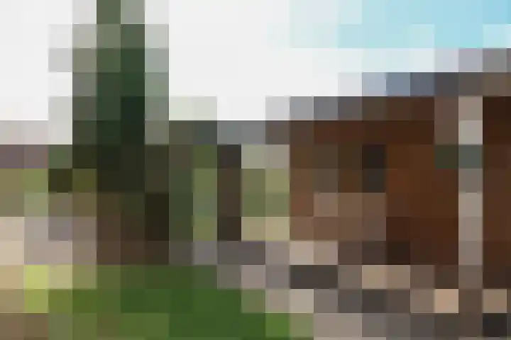 Reafinne 1 Oudega thumbnail 49