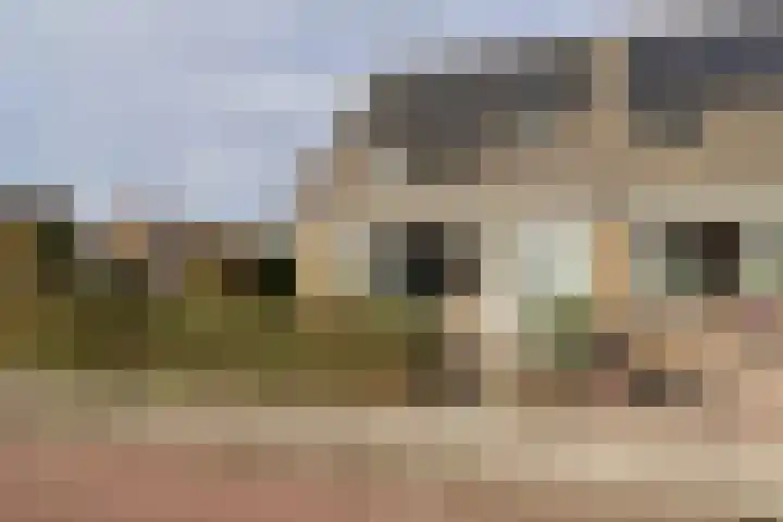 Reafinne 1 Oudega thumbnail 5