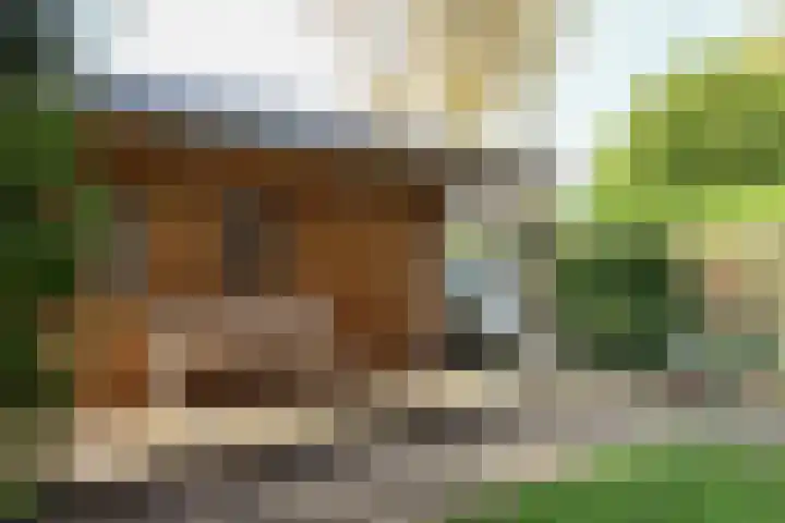 Reafinne 1 Oudega thumbnail 50