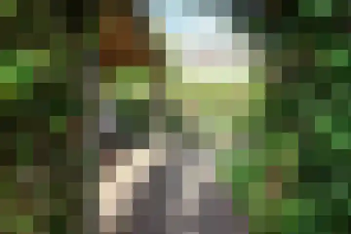 Reafinne 1 Oudega thumbnail 51